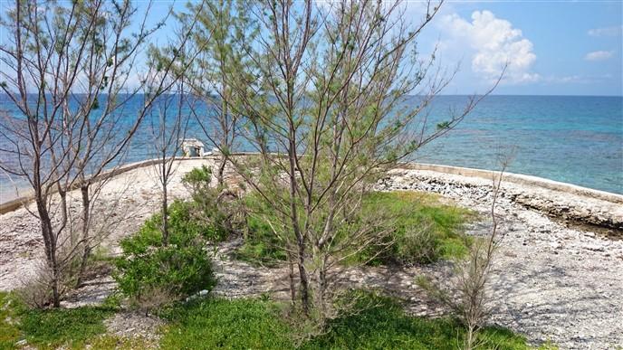 Listing ID: URE0365, Cayo Salmedina Utila, Bay Islands, HN - Salmedina Cay, Photo #