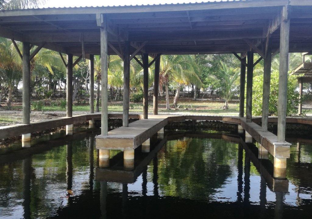 Listing ID: URE0369, Coconut Cove Utila, Bay Islands, HN - Coconut Cove Boat Slips, Photo #