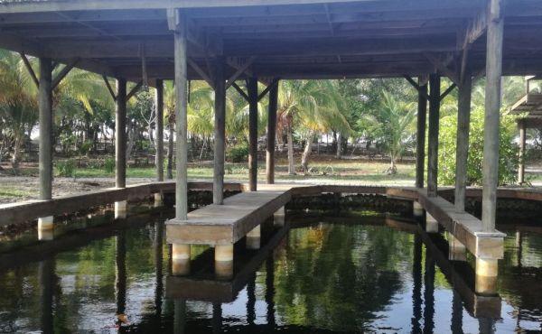 Listing ID: URE0370, Coconut Cove Utila, Bay Islands, HN - Coconut Cove Boat Slip, Photo #