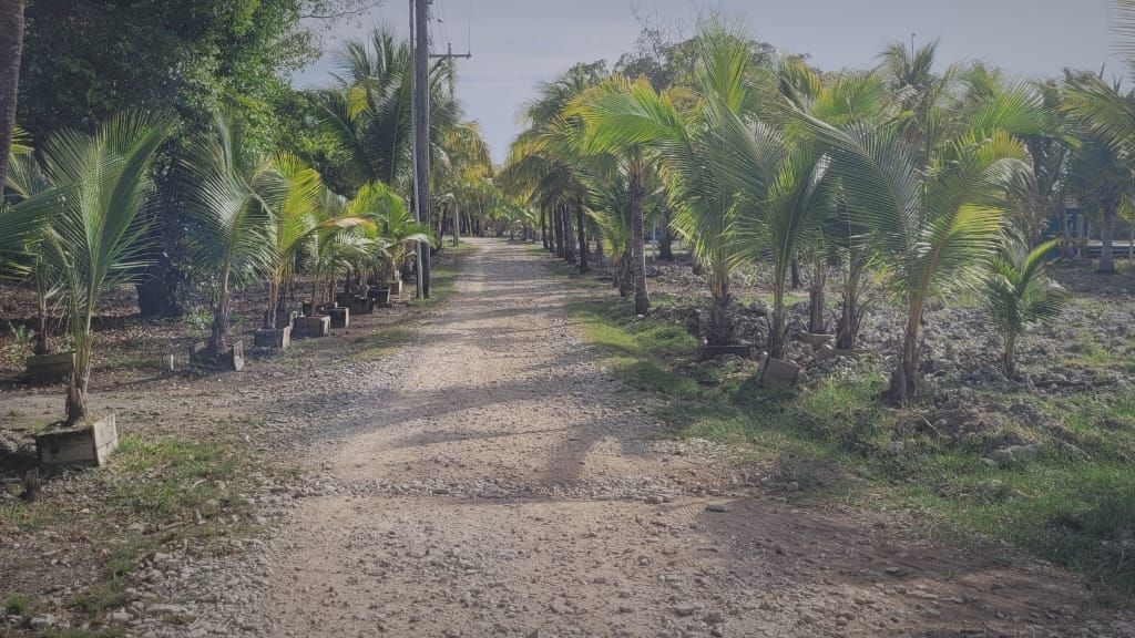 Listing ID: URE0371, Coconut Cove Utila, Bay Islands, HN - Coconut Cove Boat Slip & Garage, Photo #