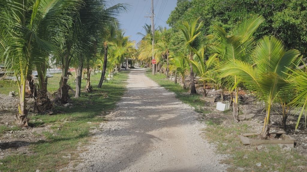 Listing ID: URE0371, Coconut Cove Utila, Bay Islands, HN - Coconut Cove Boat Slip & Garage, Photo #