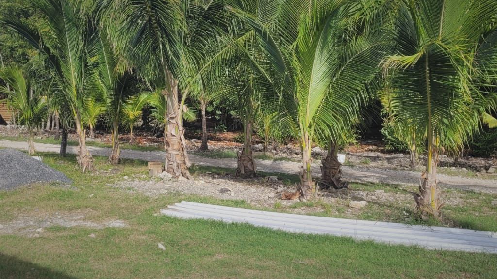 Listing ID: URE0371, Coconut Cove Utila, Bay Islands, HN - Coconut Cove Boat Slip & Garage, Photo #