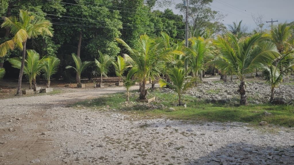 Listing ID: URE0371, Coconut Cove Utila, Bay Islands, HN - Coconut Cove Boat Slip & Garage, Photo #