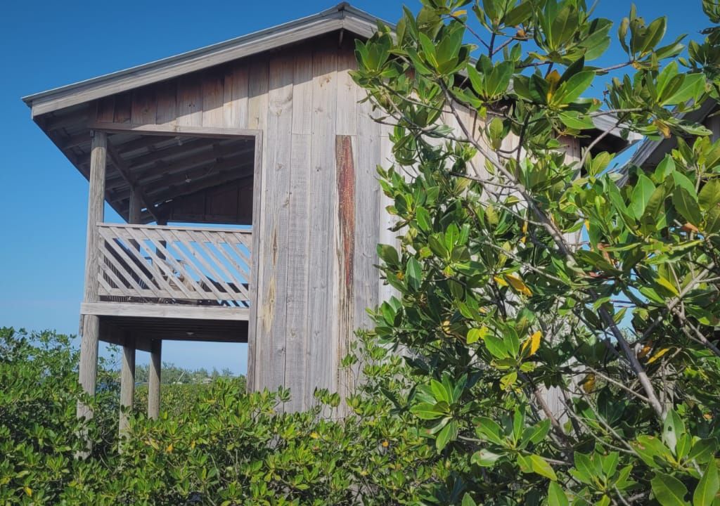 Listing ID: URE0377, Lower Lagoon Utila, Bay Islands, HN - Unique Opportunity in rare setting, Photo #