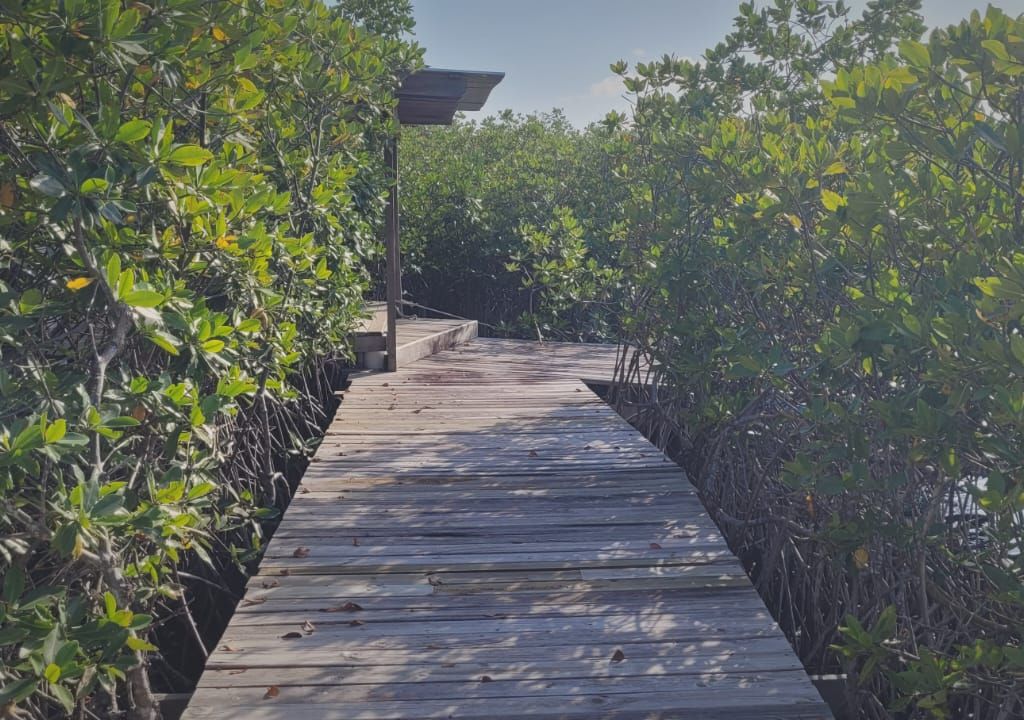 Listing ID: URE0377, Lower Lagoon Utila, Bay Islands, HN - Unique Opportunity in rare setting, Photo #