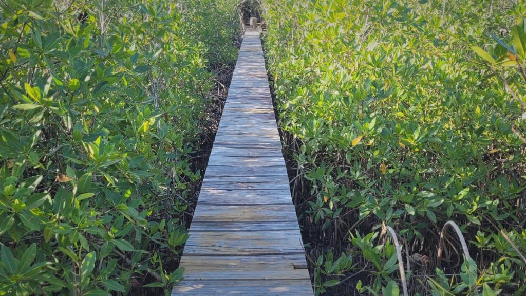 Listing ID: URE0377, Lower Lagoon Utila, Bay Islands, HN - Unique Opportunity in rare setting, Photo #