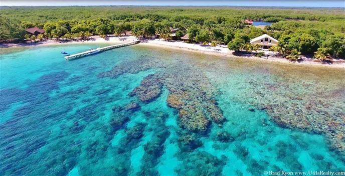 Listing ID: URE0398, Little Bight - South Shore Utila, Bay Islands, HN - Pelican's Nest, Photo #