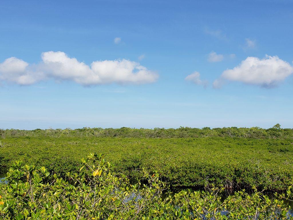Listing ID: URE0433, Little Bight Utila, Bay Islands, HN - The Lagoon House, Photo #