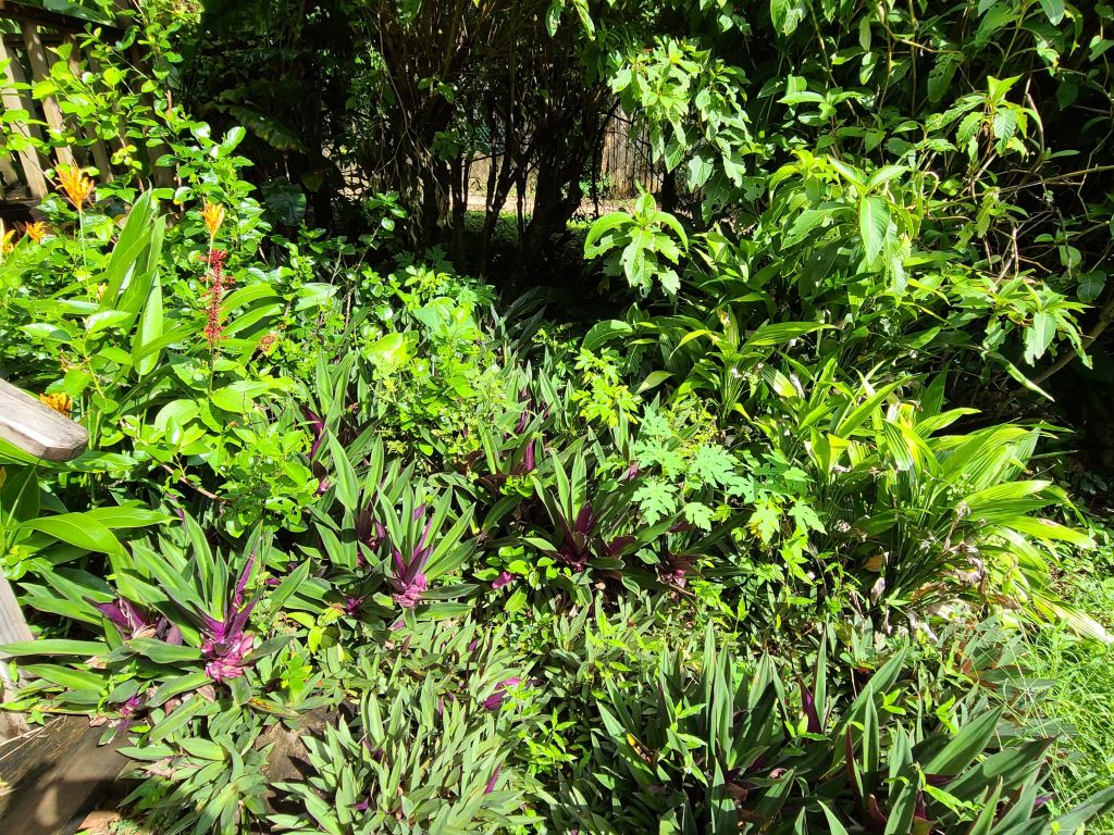 Listing ID: URE0451,  Utila, Bay Islands, HN - The Eco House, Photo #
