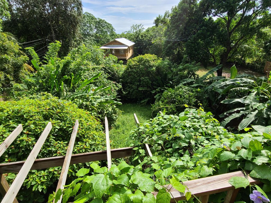 Listing ID: URE0451,  Utila, Bay Islands, HN - The Eco House, Photo #