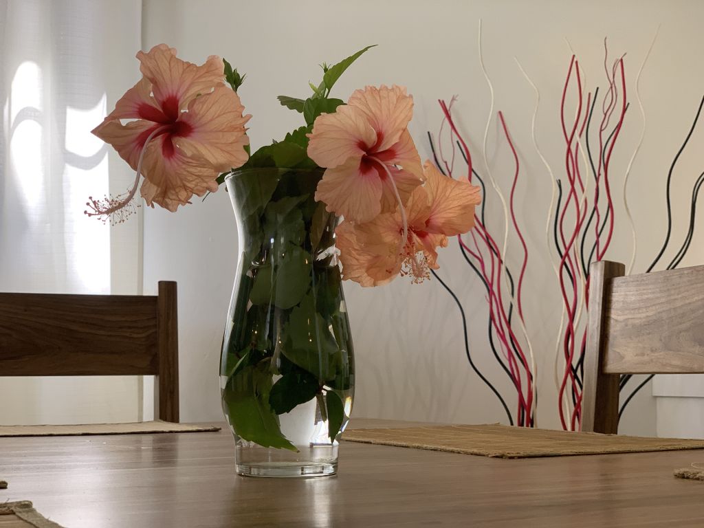 Listing ID: URE0453, Trade Wind Utila, Bay Islands, HN - Eastwind - Home in Trade Wind, Photo #