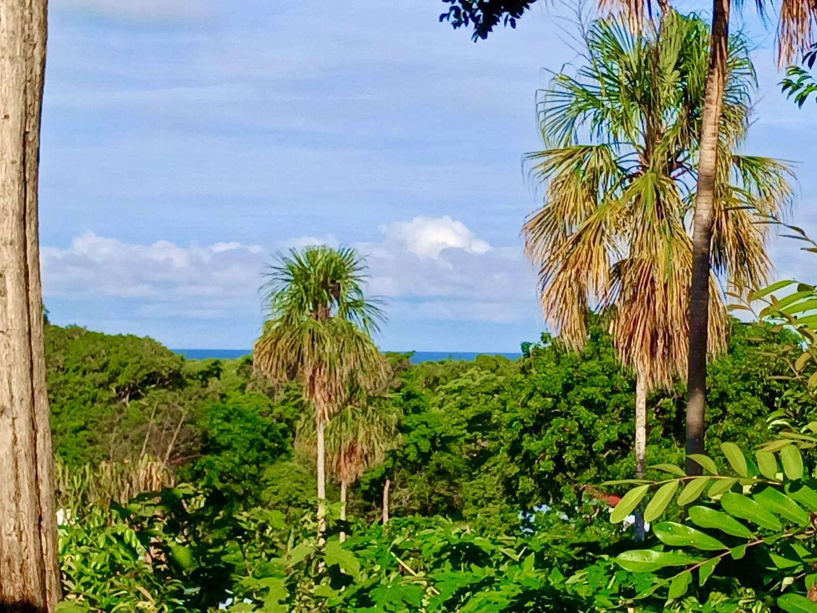 Listing ID: URE0482, New Jericho Utila, Bay Islands, HN - Casa Oceana, Photo #