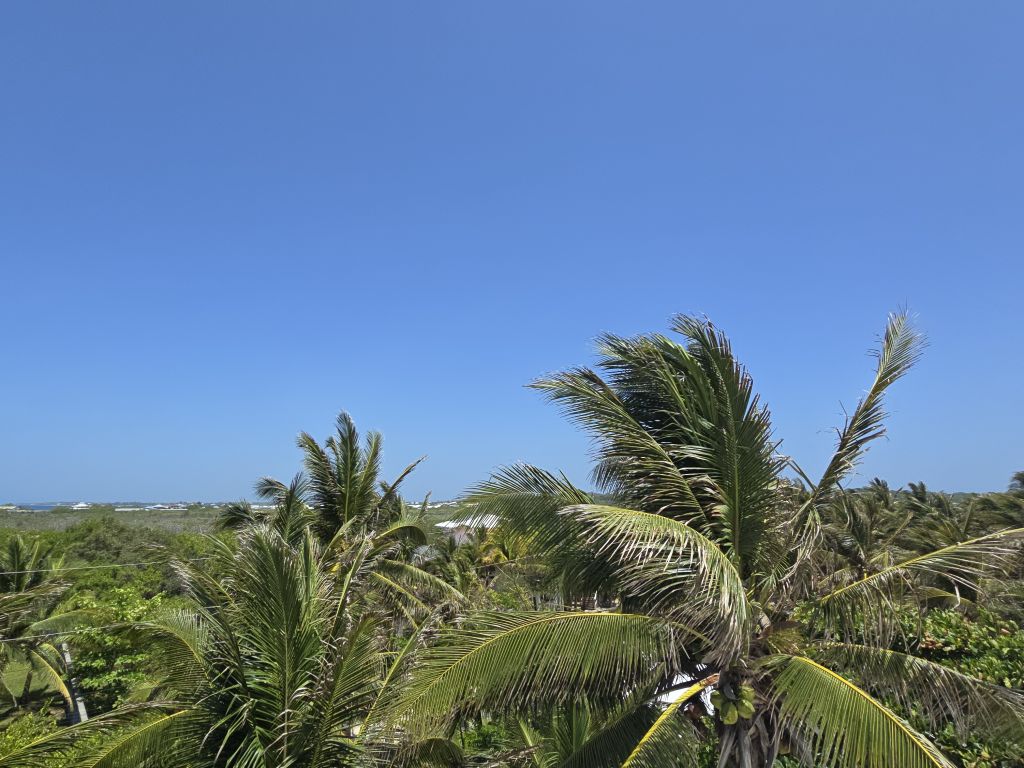 Listing ID: URE0484, Paradise Cove Utila, Bay Islands, HN - The Cove House, Photo #