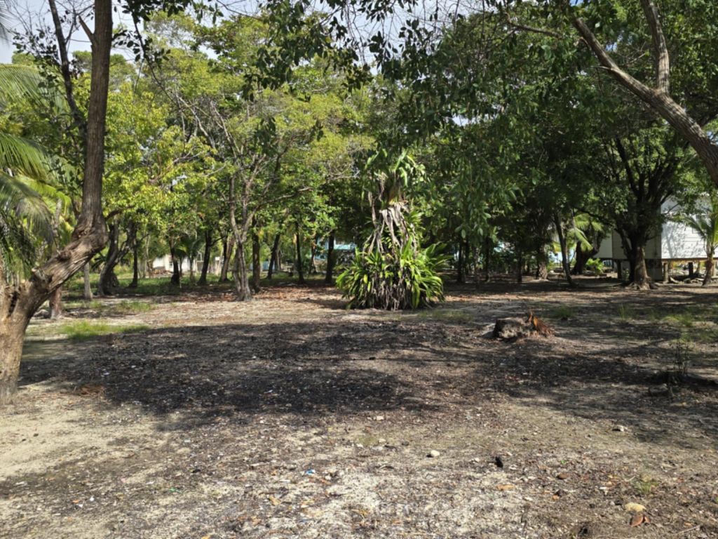 Listing ID: URE0490, Jonathan Point Utila, Bay Islands, HN - South West St. Breezy, Photo #