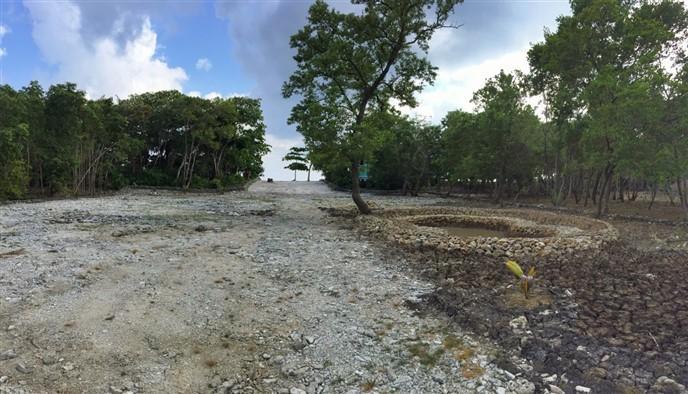 Lot Sold - Utila, Bay Islands - Listing ID: URE0515 - Photo