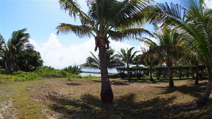 Listing ID: URE0518, Rocky Point Estates Trade Wind Utila, Bay Islands, HN - Beach Front At Rocky Point Estates, Photo #