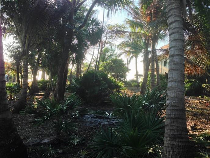Listing ID: URE0518, Rocky Point Estates Trade Wind Utila, Bay Islands, HN - Beach Front At Rocky Point Estates, Photo #