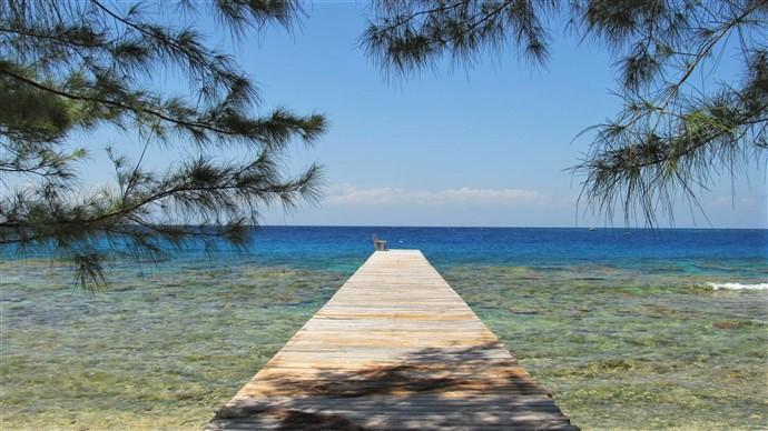 Lot Sold - Utila, Bay Islands - Listing ID: URE0522 - Photo