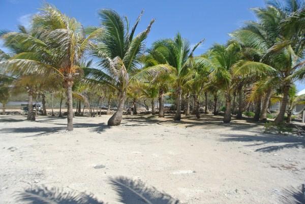 Listing ID: URE0526, Rocky Point Estates Trade Wind Utila, Bay Islands, HN - Tradewind Ocean Front Homesite, Photo #