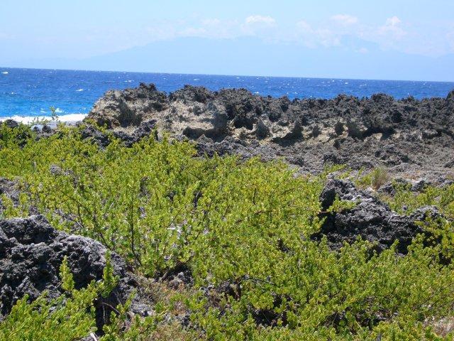 Listing ID: URE0536, Constantinopia / Swanridge Utila, Bay Islands, HN - Steps From The Sea At Cliff Club, Photo #