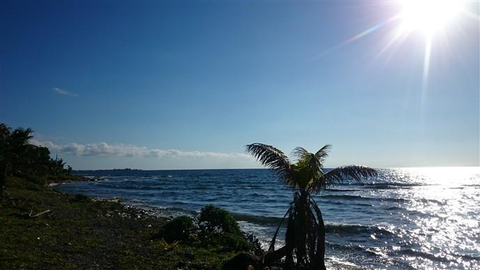 Listing ID: URE0539, Little Bight - South Shore Utila, Bay Islands, HN - South Shore Beach Front Lot, Photo #