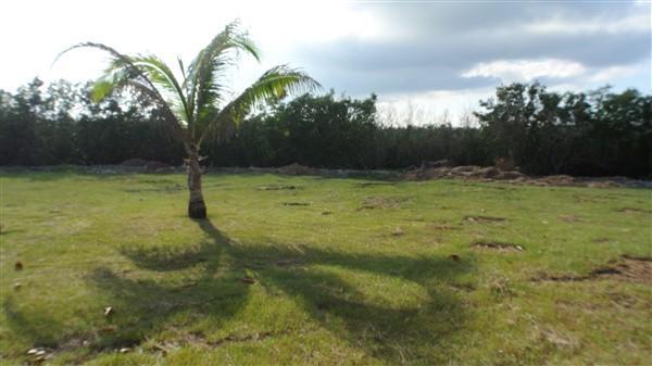 Listing ID: URE0544, Paradise Cove Trade Wind Utila, Bay Islands, HN - Ocean View Lot #12 At Trade Wind, Photo #