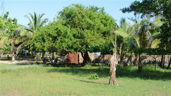 Listing ID: URE0546, Rocky Point Estates Trade Wind Utila, Bay Islands, HN - Ocean View Property At Trade Wind, Photo #