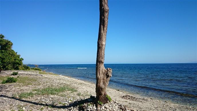 Listing ID: URE0551, Coral Beach Village - South Shore Utila, Bay Islands, HN - Price Reduced For Beach Front At Cbv, Photo #