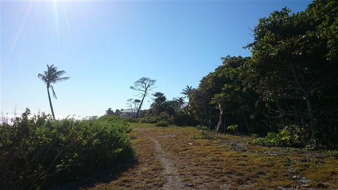 Listing ID: URE0553, Coral Beach Village - Little Bight Utila, Bay Islands, HN - Beach Front At Coral Beach Village, Photo #
