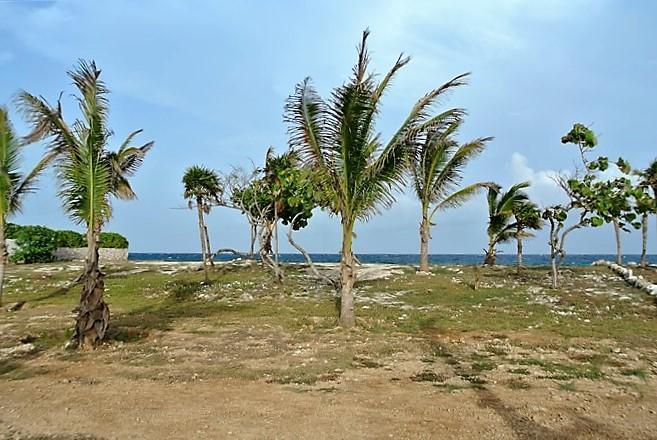 Listing ID: URE0561, Dolphin Run - Trade Wind Utila, Bay Islands, HN - Lot #10 At Dolphin Run, Photo #