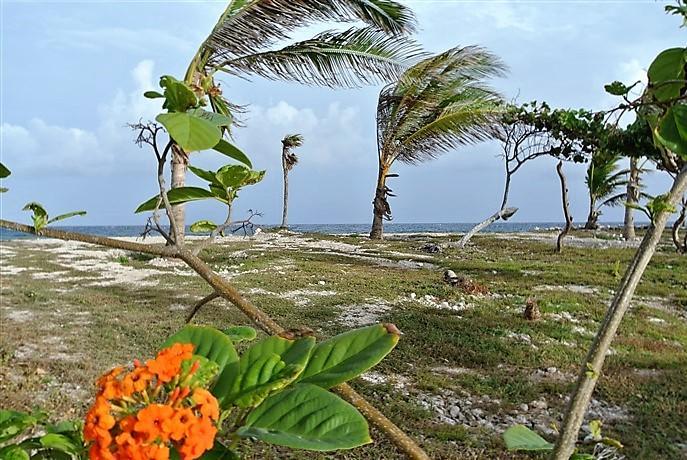 Listing ID: URE0561, Dolphin Run - Trade Wind Utila, Bay Islands, HN - Lot #10 At Dolphin Run, Photo #