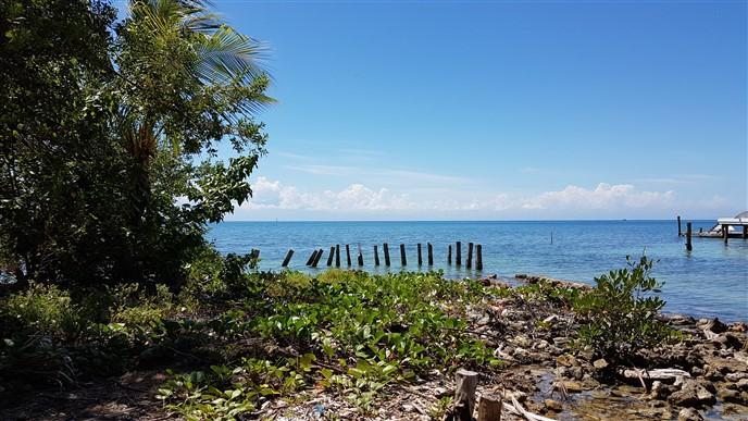 Listing ID: URE0568, Main Street, Sandy Bay Utila, Bay Islands, HN - Beach Front In Town, Photo #