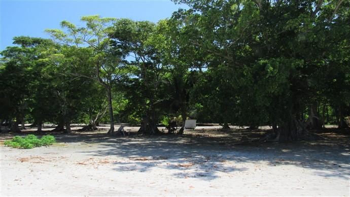 Listing ID: URE0572, The Well Utila, Bay Islands, HN - The Well Beachfront Lot#21, Photo #