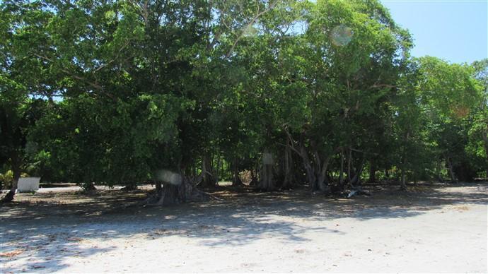 Listing ID: URE0572, The Well Utila, Bay Islands, HN - The Well Beachfront Lot#21, Photo #