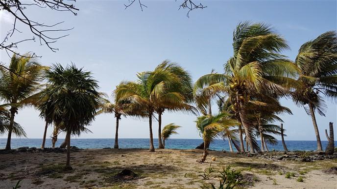 Listing ID: URE0574, Silver Garden Utila, Bay Islands, HN - Ocean Front Lot With Boat Slip At Silver Garden, Photo #