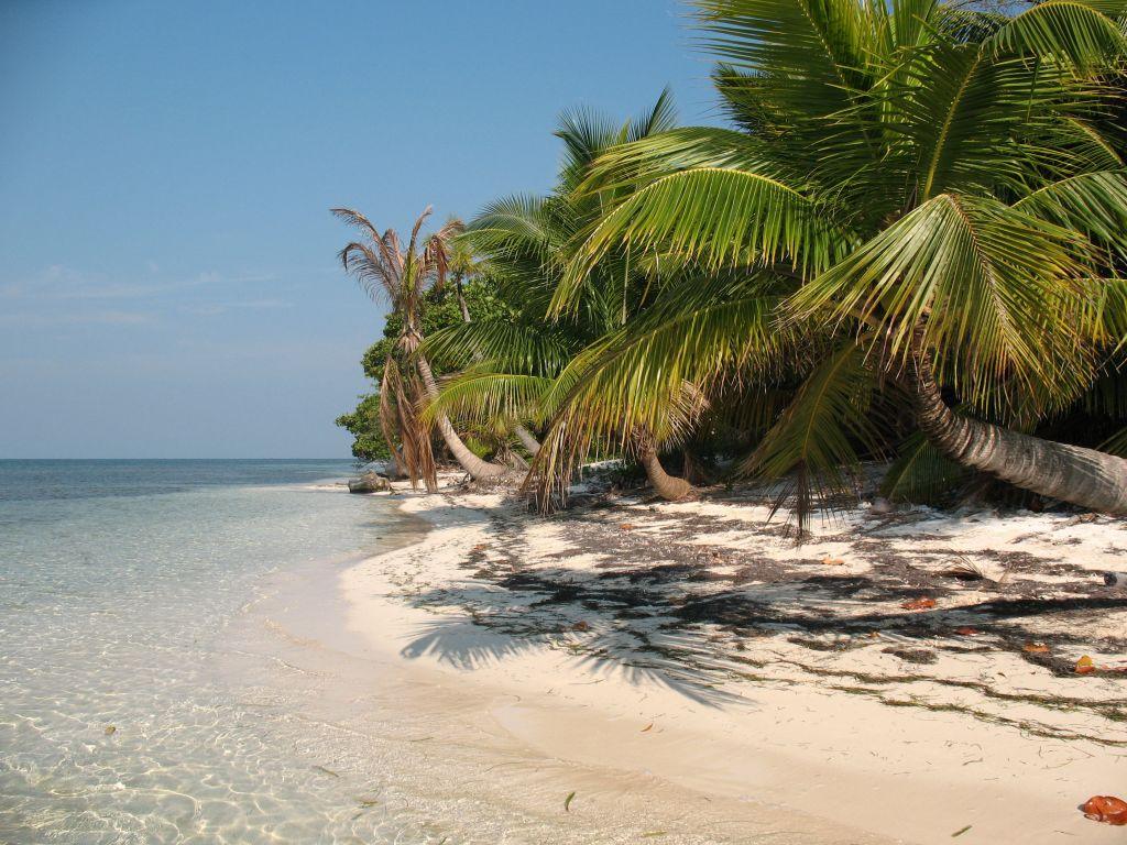 Lot Sold - Utila, Bay Islands - Listing ID: URE0581 - Photo