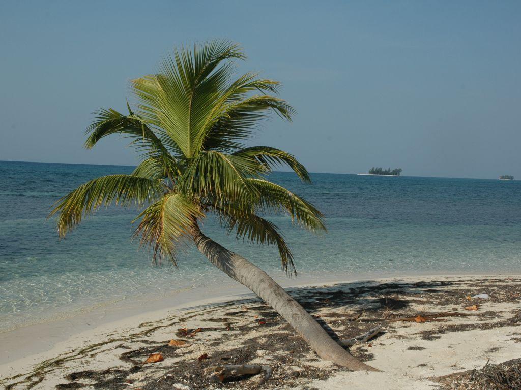 Listing ID: URE0581, Pine Point Utila, Bay Islands, HN - Pine Point Lot A, Photo #