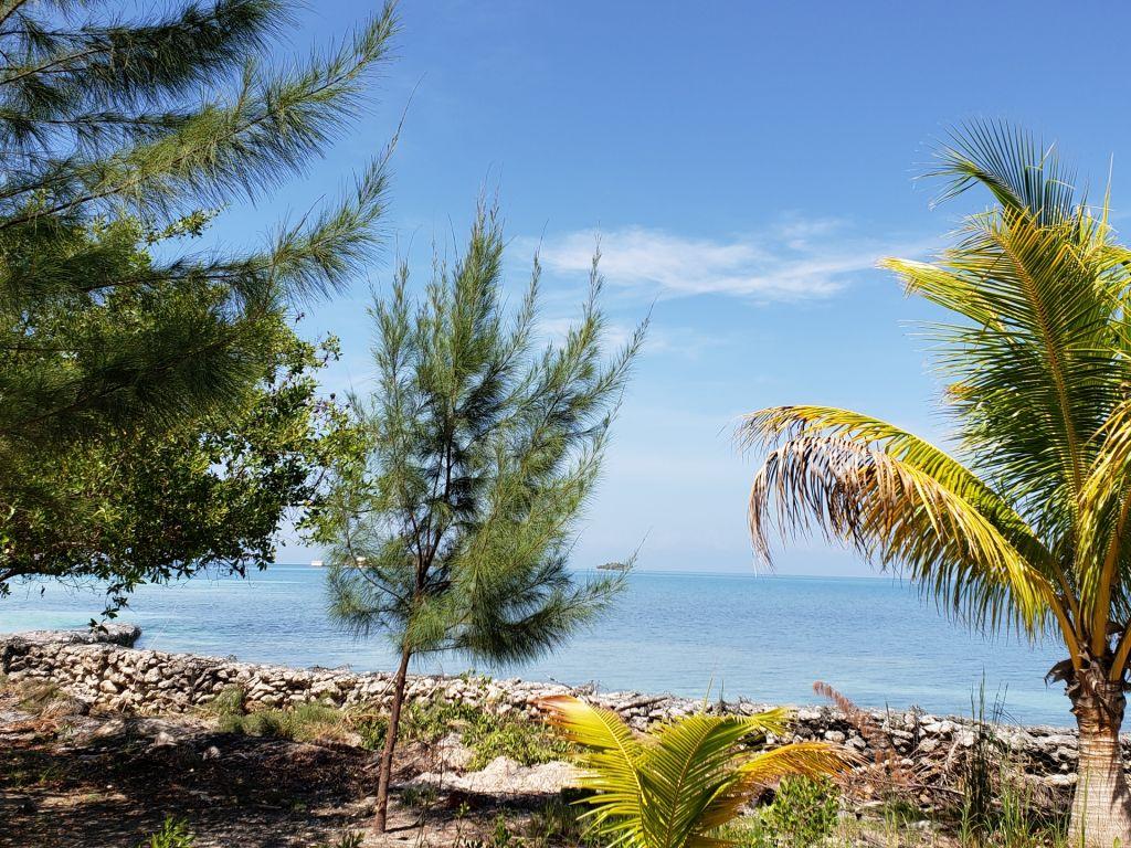 Listing ID: URE0585, Jonathan Point Utila, Bay Islands, HN - Beachfront Lot At Jonathan Point, Photo #