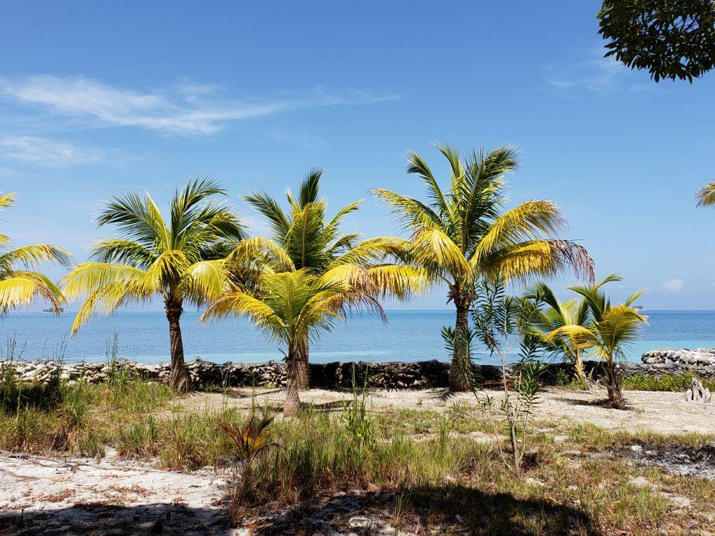 Listing ID: URE0585, Jonathan Point Utila, Bay Islands, HN - Beachfront Lot At Jonathan Point, Photo #