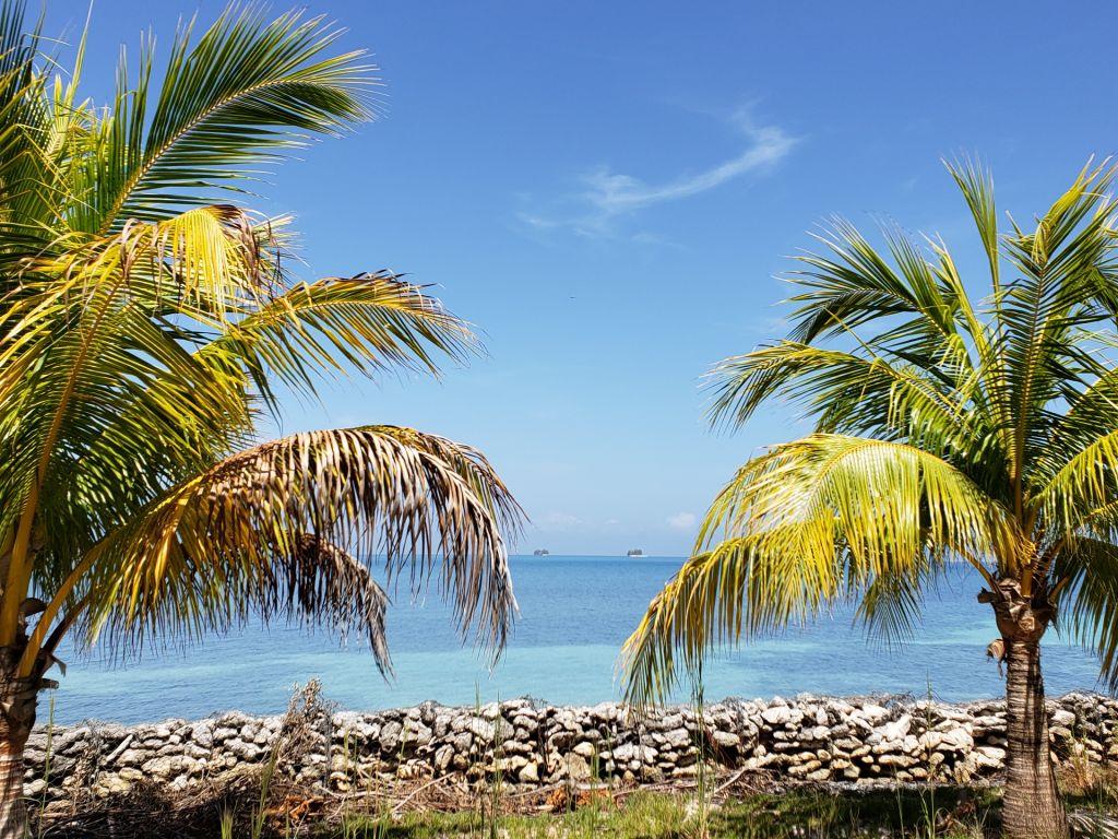Listing ID: URE0585, Jonathan Point Utila, Bay Islands, HN - Beachfront Lot At Jonathan Point, Photo #