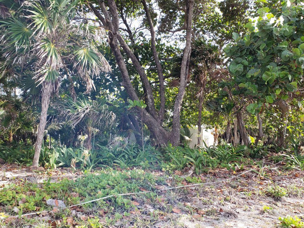 Listing ID: URE0586, Coral Beach Village Utila, Bay Islands, HN - Beach Access Lot At Coral Beach, Photo #