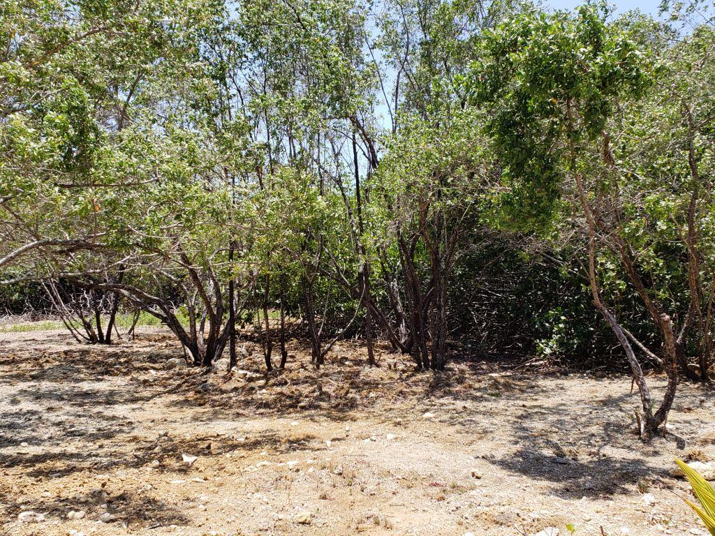 Listing ID: URE0586, Coral Beach Village Utila, Bay Islands, HN - Beach Access Lot At Coral Beach, Photo #