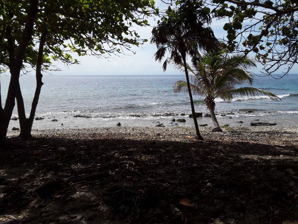 Listing ID: URE0608, Silver Gardens Utila, Bay Islands, HN - Beachfront Lot At Silver Gardens, Photo #