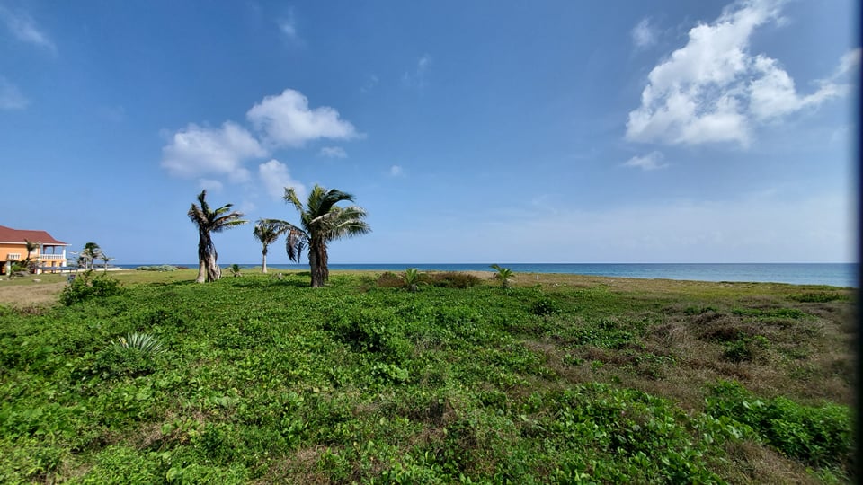 Listing ID: URE0616, Dolphin Run Utila, Bay Islands, HN - Oceanfront Lot At Dolphin Run, Photo #