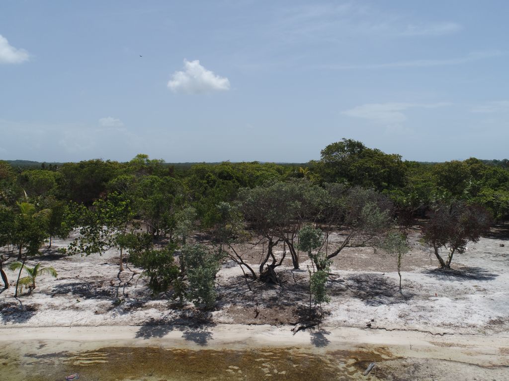 Listing ID: URE0643, David's Beach Utila, Bay Islands, HN - Sunset Shore, Lot 12, Photo #