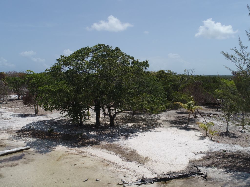 Listing ID: URE0643, David's Beach Utila, Bay Islands, HN - Sunset Shore, Lot 12, Photo #