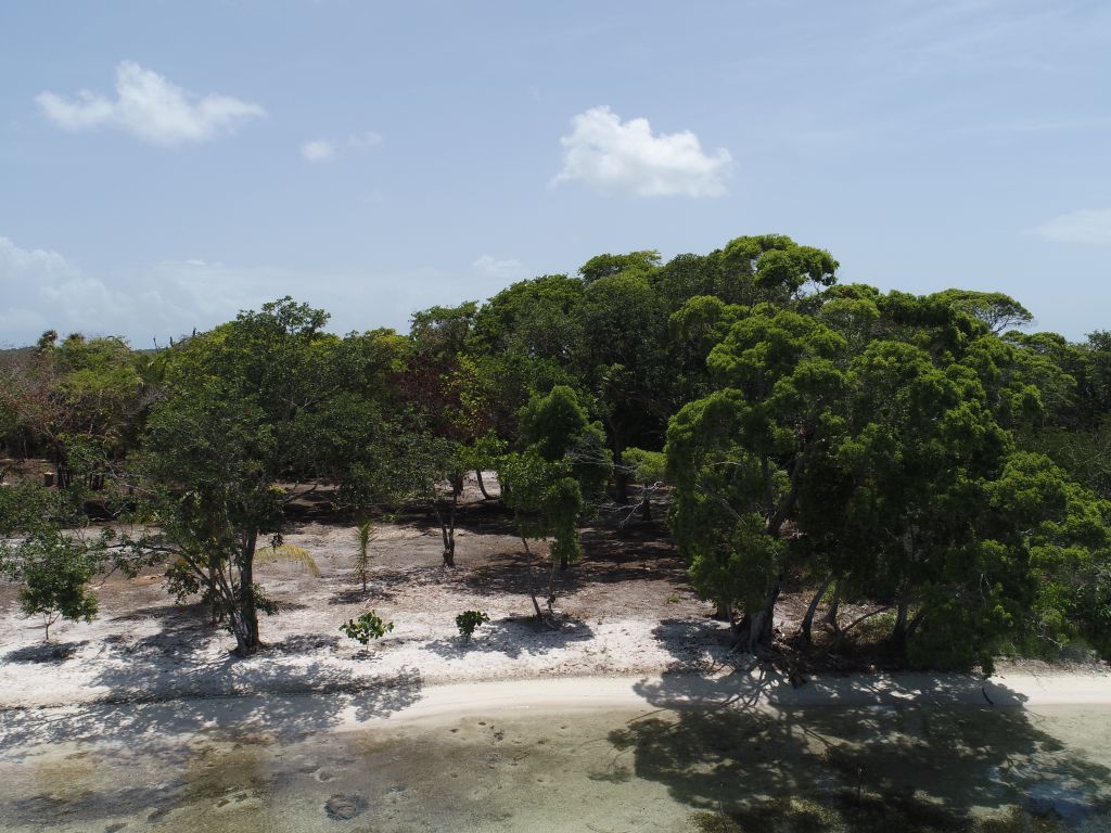Listing ID: URE0643, David's Beach Utila, Bay Islands, HN - Sunset Shore, Lot 12, Photo #