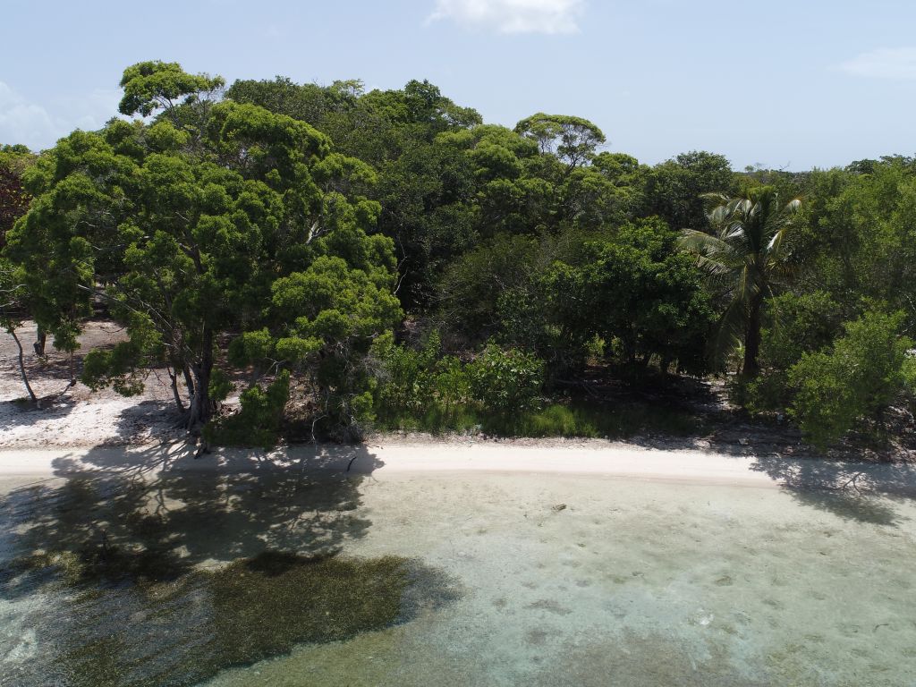 Listing ID: URE0645, David's Beach Utila, Bay Islands, HN - Sunset Shore, Lot 14, Photo #