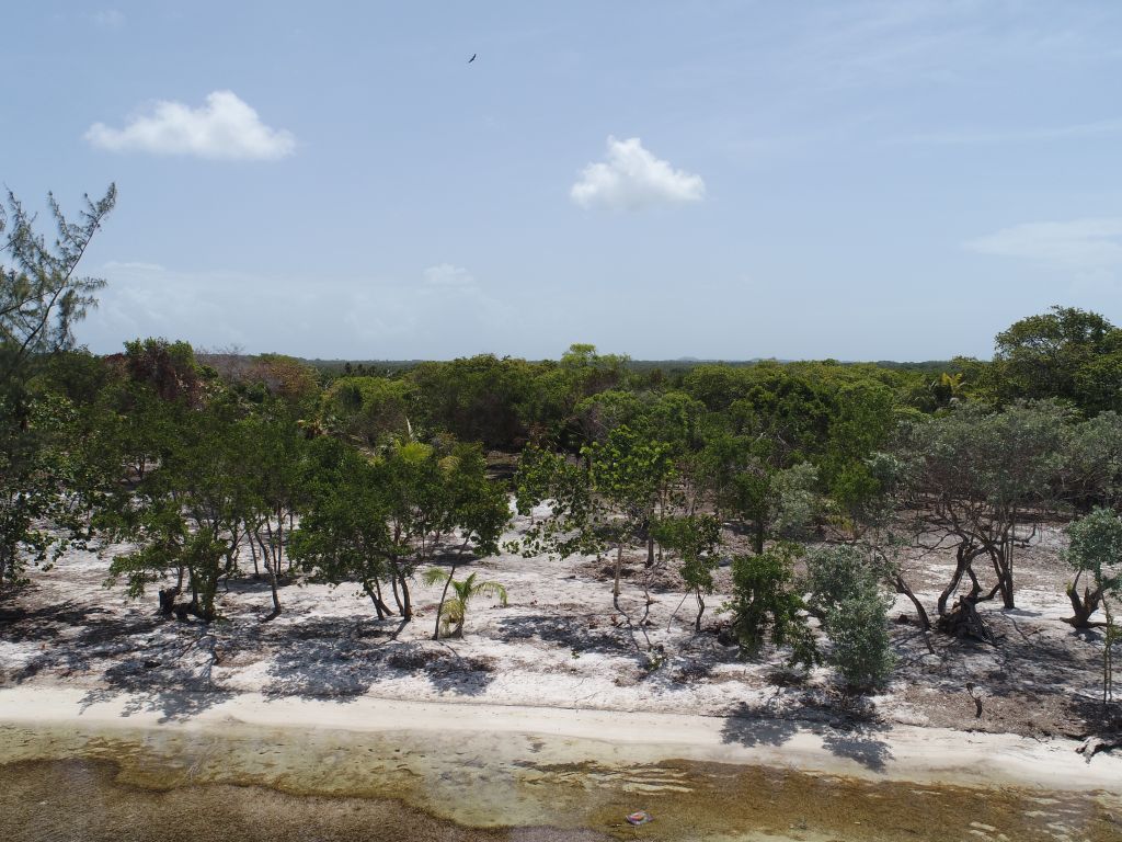 Listing ID: URE0647, David's Beach Utila, Bay Islands, HN - Sunset Shore, Lot 16, Photo #