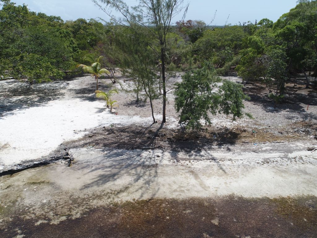 Listing ID: URE0647, David's Beach Utila, Bay Islands, HN - Sunset Shore, Lot 16, Photo #